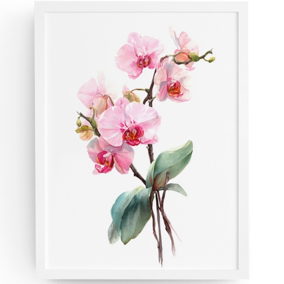 Watercolor Pink Orchids Wall Art Print Unframed - Elegant Floral Serenity - Picture 1 of 6